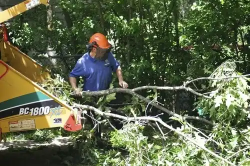 tree services Renville